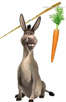 Поговорим о морковке
